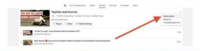 eliminar lista de reproducción