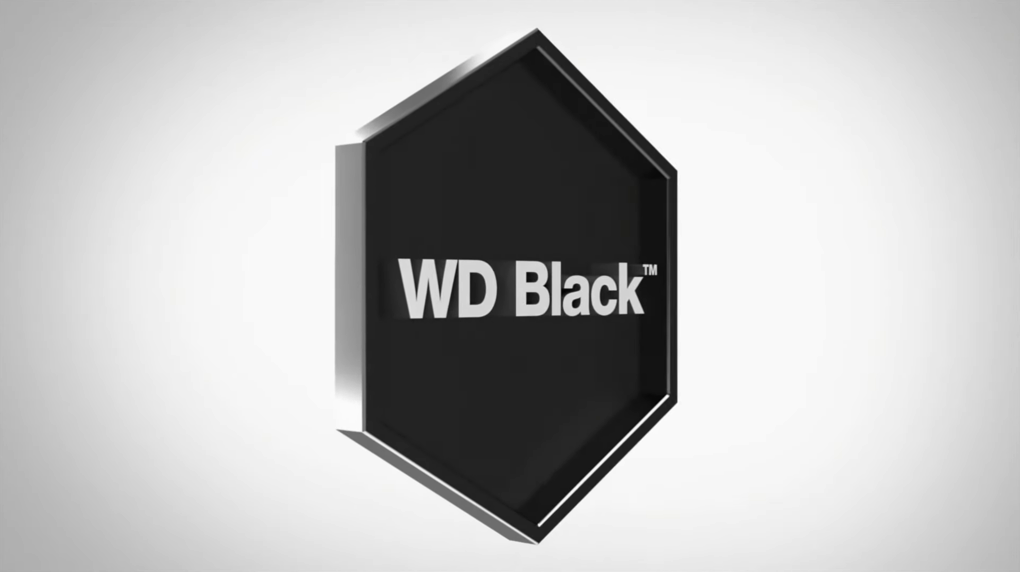 Gama WD Black