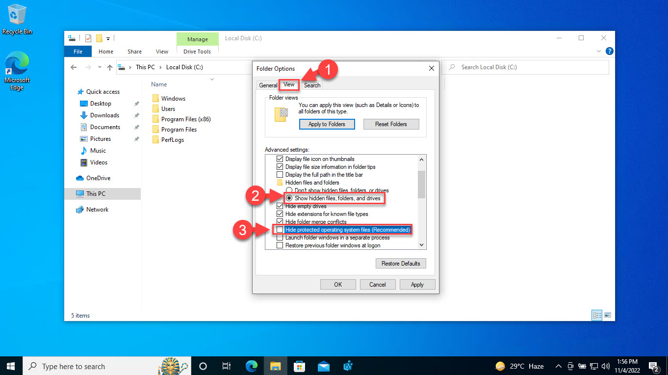 Mostrar archivos y carpetas ocultos y protegidos en Windows 11/10