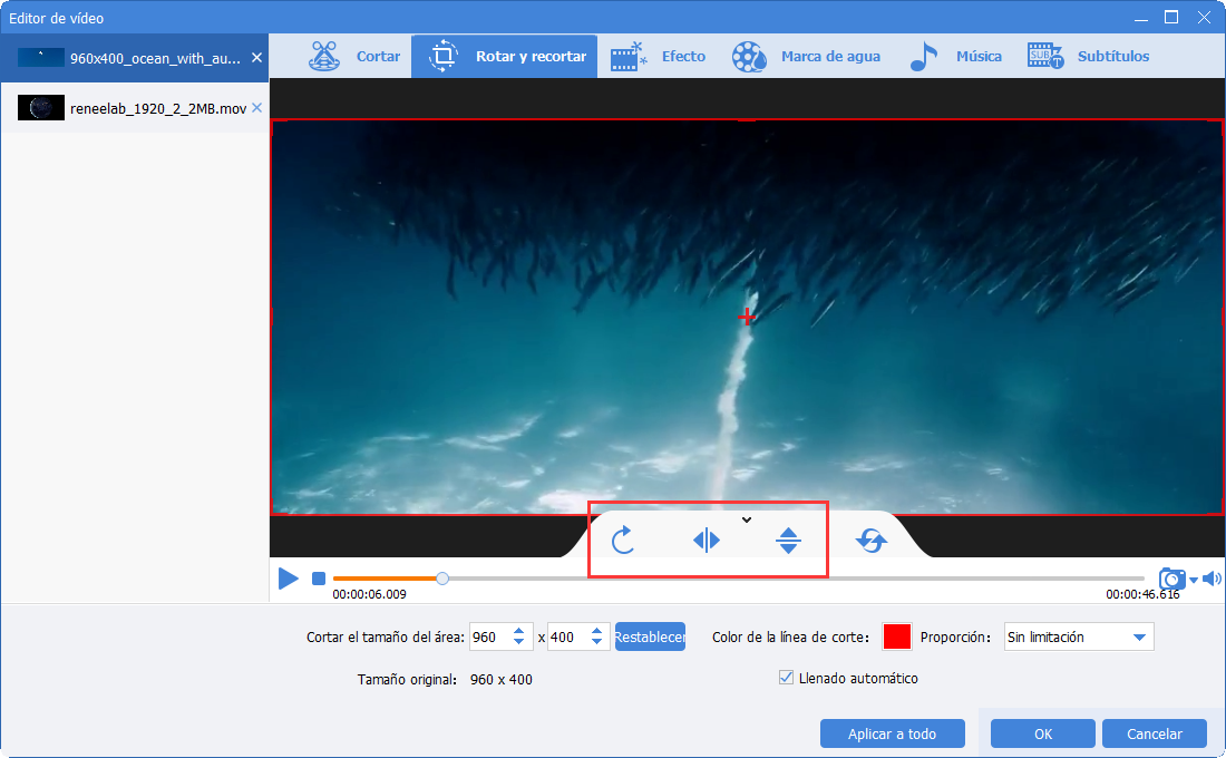 Utilice Renee Video Editor Pro para cambiar la visualización de la pantalla de video